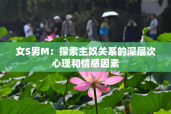 女S男M：探索主奴关系的深层次心理和情感因素