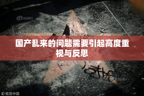 国产乱来的问题需要引起高度重视与反思
