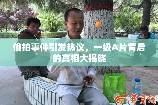 偷拍事件引发热议，一级A片背后的真相大揭晓