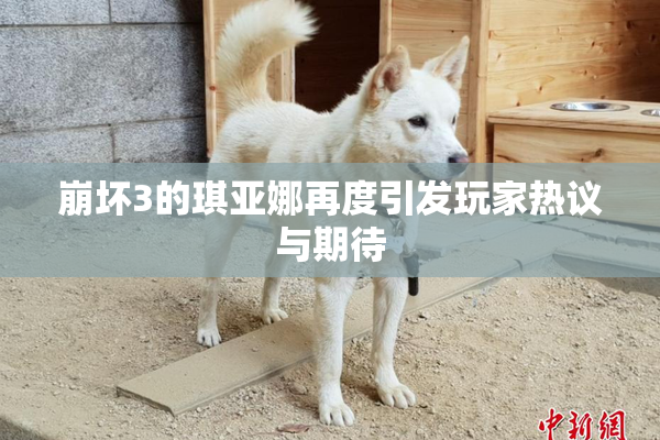 崩坏3的琪亚娜再度引发玩家热议与期待