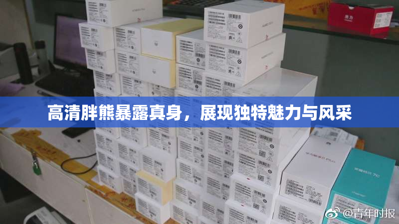 高清胖熊暴露真身，展现独特魅力与风采