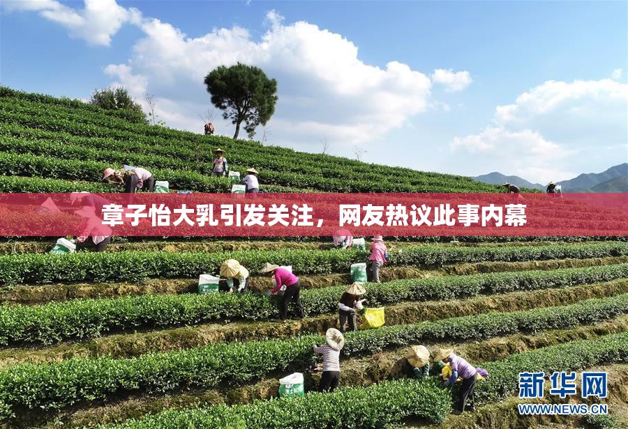 章子怡大乳引发关注，网友热议此事内幕
