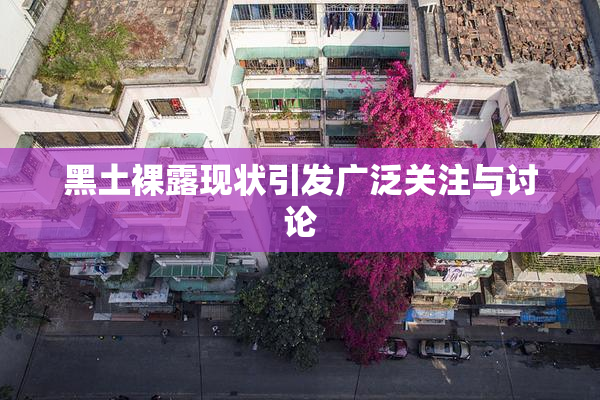 黑土裸露现状引发广泛关注与讨论