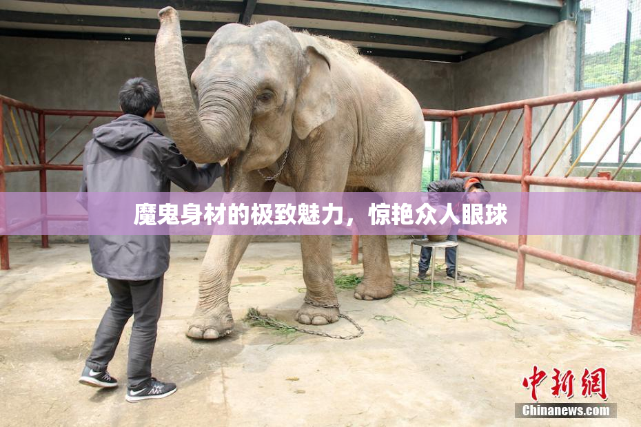 魔鬼身材的极致魅力，惊艳众人眼球