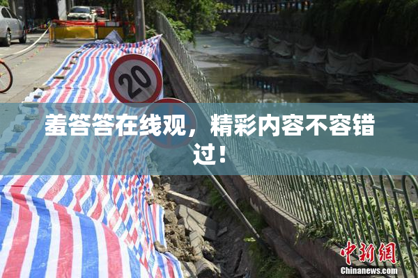 羞答答在线观，精彩内容不容错过！