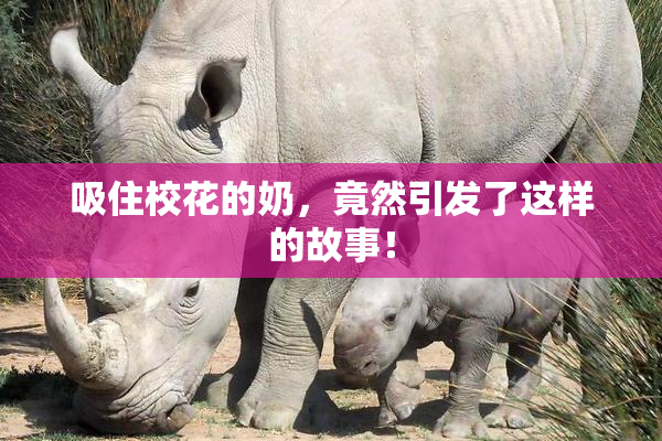 吸住校花的奶，竟然引发了这样的故事！