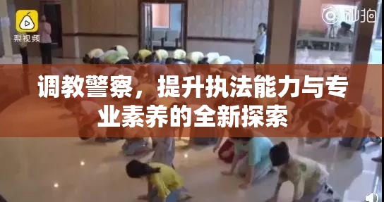 调教警察，提升执法能力与专业素养的全新探索
