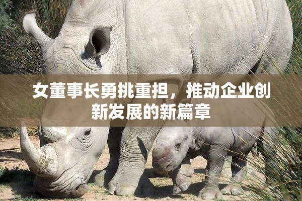 女董事长勇挑重担，推动企业创新发展的新篇章