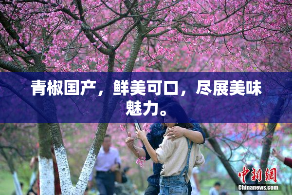 青椒国产，鲜美可口，尽展美味魅力。