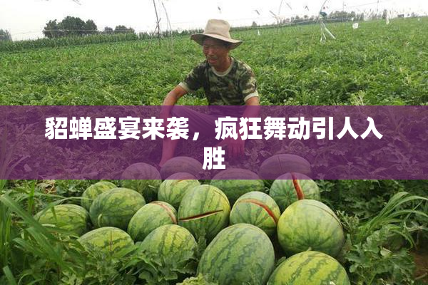 貂蝉盛宴来袭，疯狂舞动引人入胜