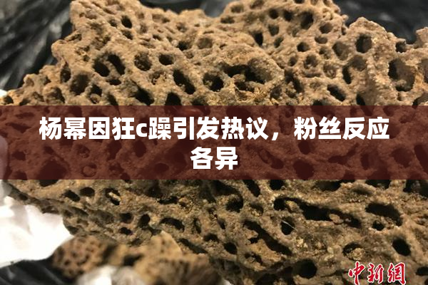杨幂因狂c躁引发热议，粉丝反应各异