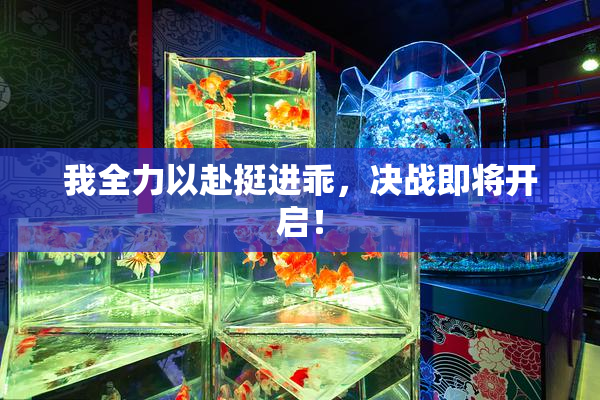 我全力以赴挺进乖，决战即将开启！