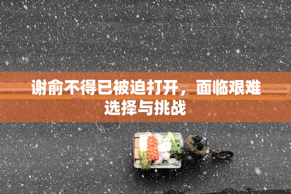 谢俞不得已被迫打开，面临艰难选择与挑战