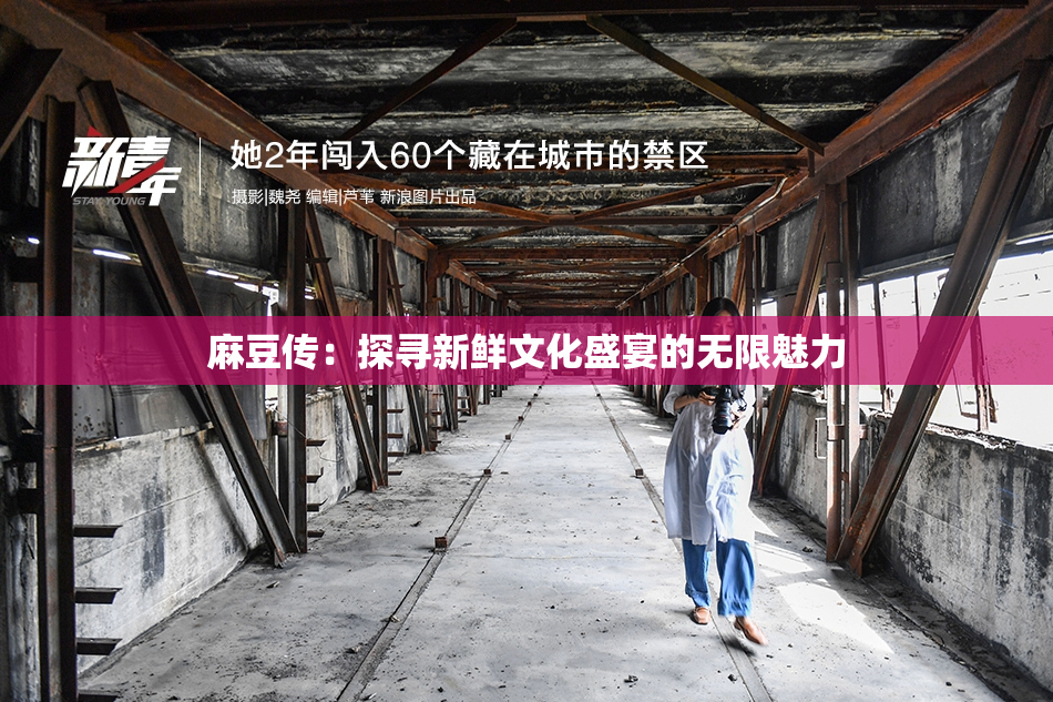 麻豆传：探寻新鲜文化盛宴的无限魅力