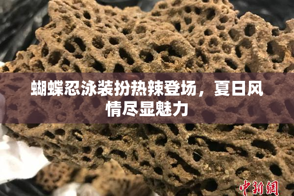 蝴蝶忍泳装扮热辣登场，夏日风情尽显魅力