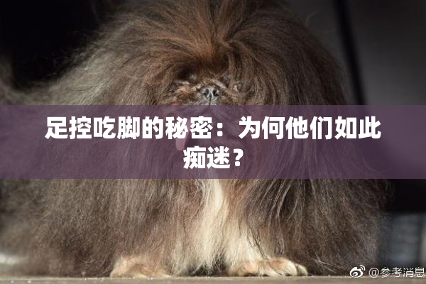 足控吃脚的秘密：为何他们如此痴迷？