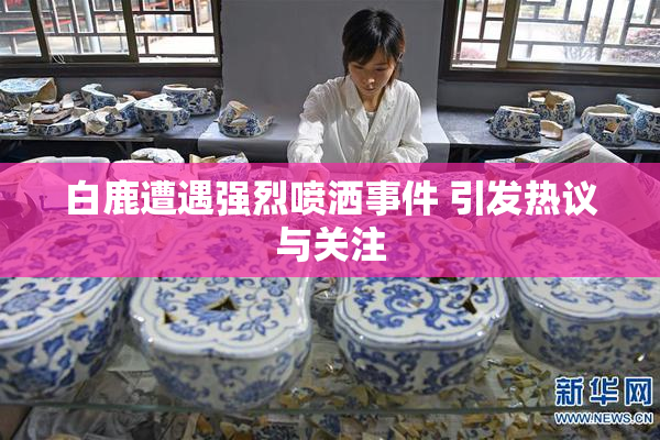 白鹿遭遇强烈喷洒事件 引发热议与关注