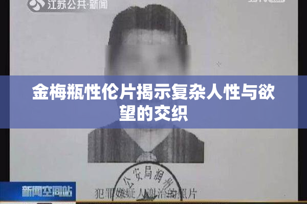 金梅瓶性伦片揭示复杂人性与欲望的交织