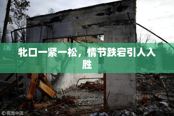 牝口一紧一松，情节跌宕引人入胜
