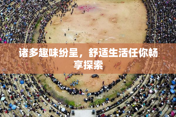 诸多趣味纷呈，舒适生活任你畅享探索