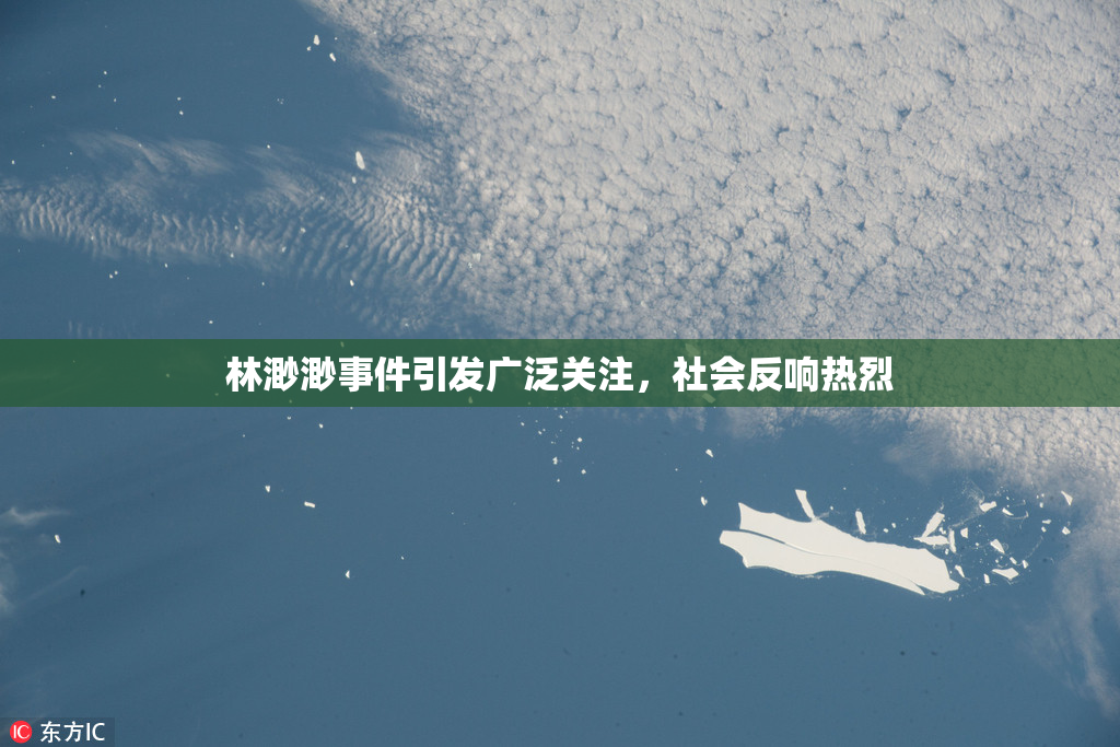 林渺渺事件引发广泛关注，社会反响热烈