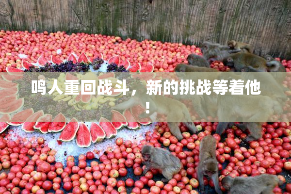 鸣人重回战斗，新的挑战等着他！
