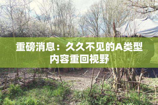 重磅消息：久久不见的A类型内容重回视野