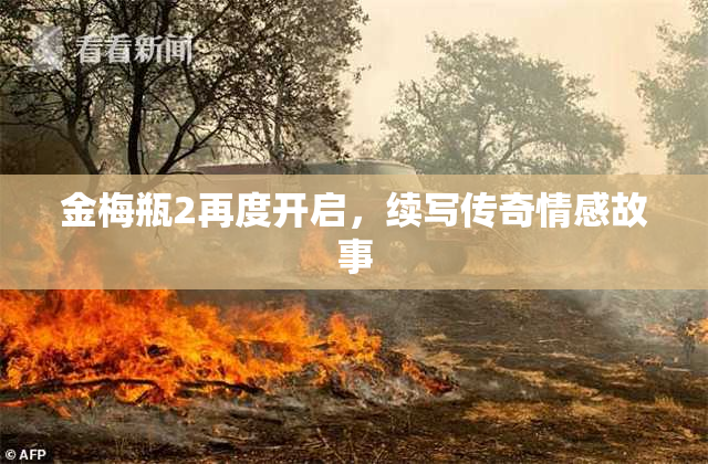 金梅瓶2再度开启，续写传奇情感故事