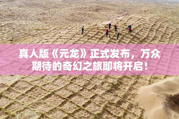 真人版《元龙》正式发布，万众期待的奇幻之旅即将开启！
