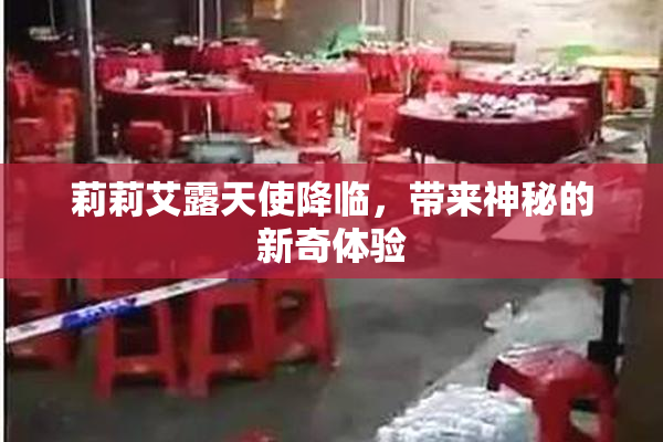 莉莉艾露天使降临，带来神秘的新奇体验