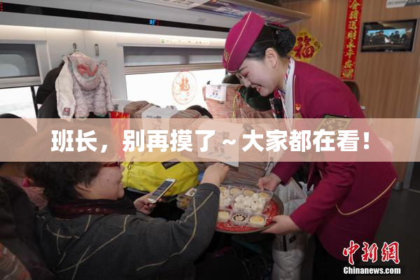 班长，别再摸了～大家都在看！