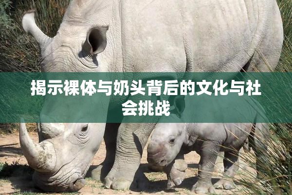 揭示裸体与奶头背后的文化与社会挑战