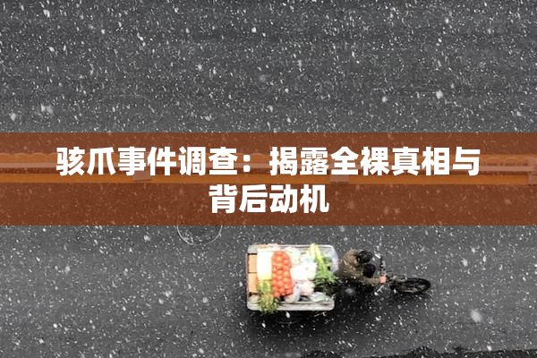 骇爪事件调查：揭露全裸真相与背后动机