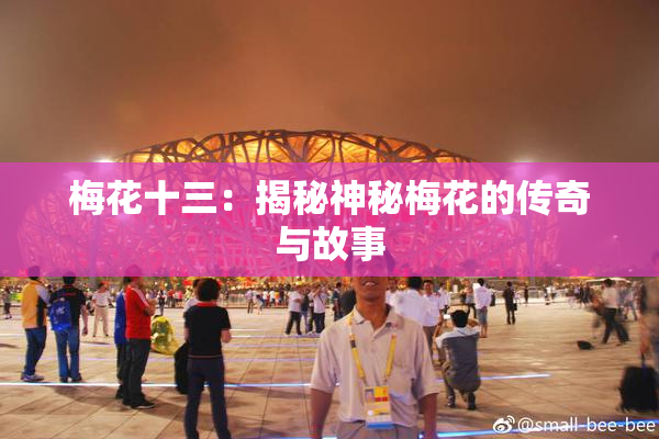 梅花十三：揭秘神秘梅花的传奇与故事