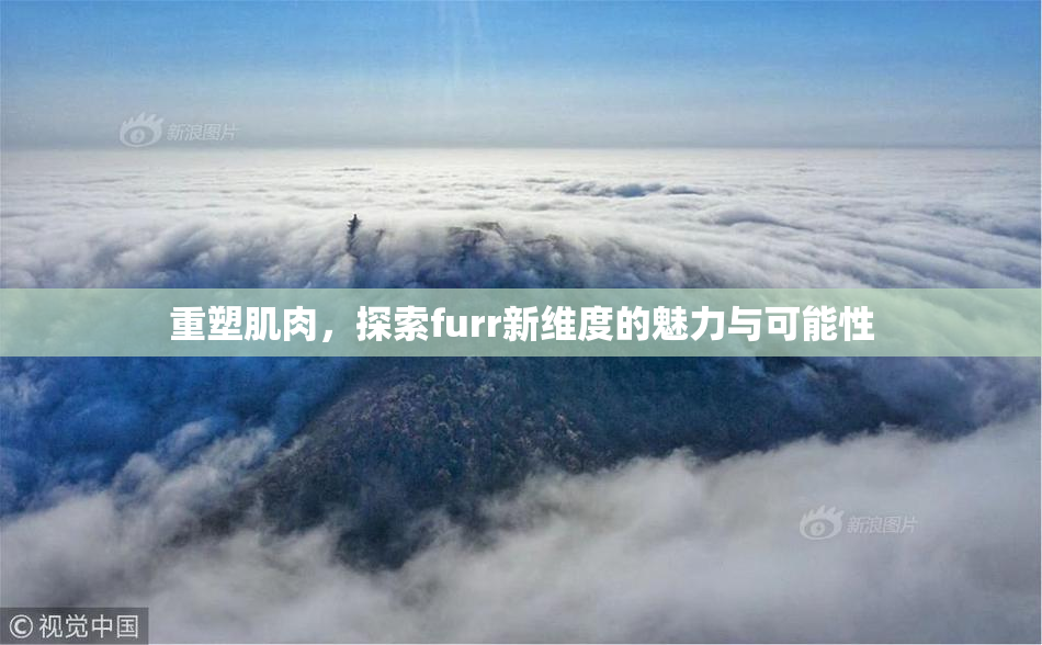 重塑肌肉，探索furr新维度的魅力与可能性