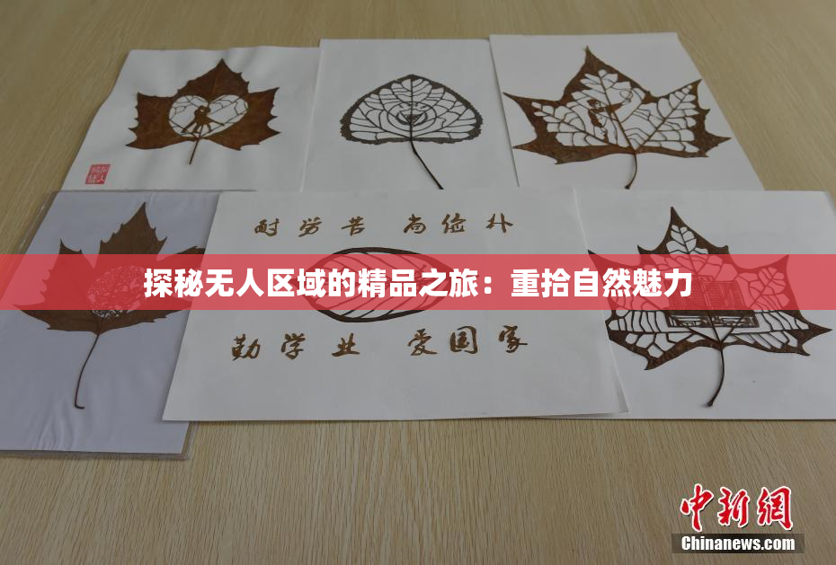 探秘无人区域的精品之旅：重拾自然魅力