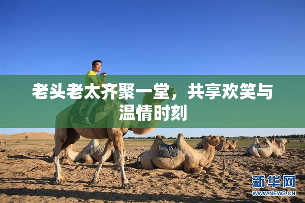 老头老太齐聚一堂，共享欢笑与温情时刻