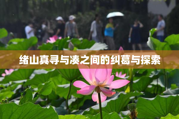 绪山真寻与凑之间的纠葛与探索