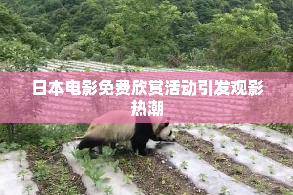 日本电影免费欣赏活动引发观影热潮