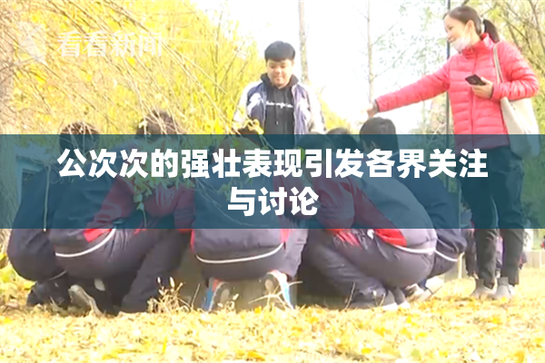 公次次的强壮表现引发各界关注与讨论