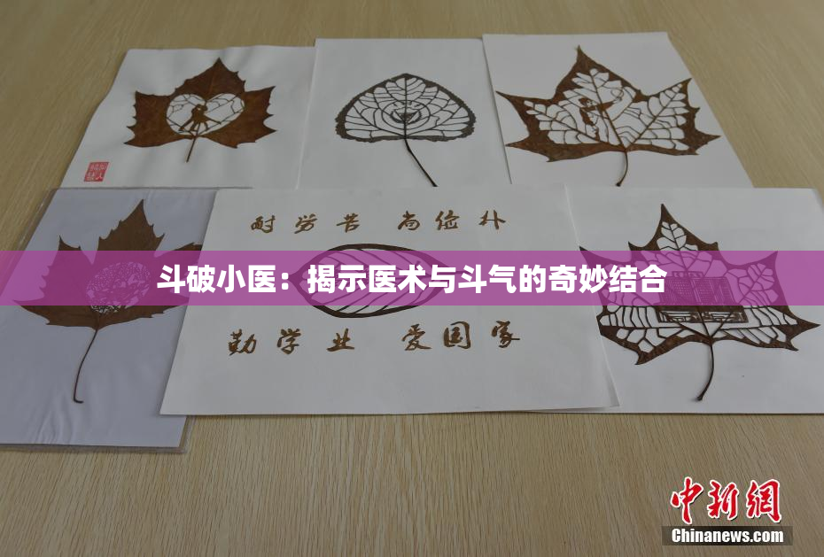 斗破小医：揭示医术与斗气的奇妙结合
