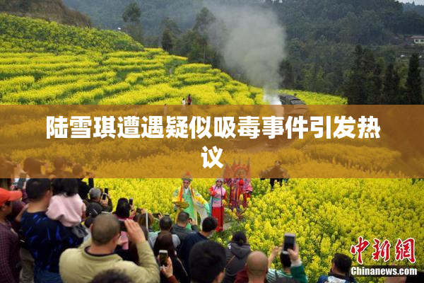 陆雪琪遭遇疑似吸毒事件引发热议
