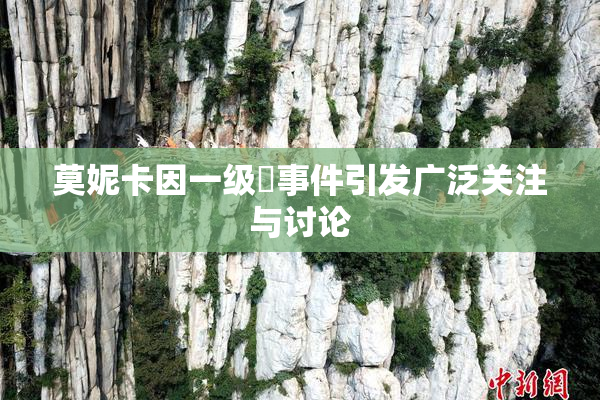 莫妮卡因一级婬事件引发广泛关注与讨论