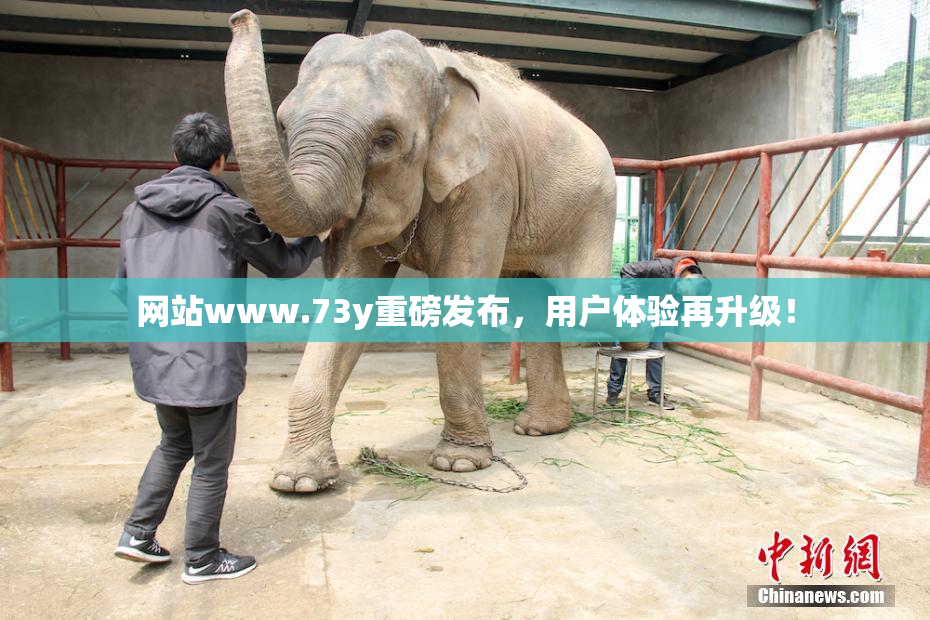 网站www.73y重磅发布，用户体验再升级！