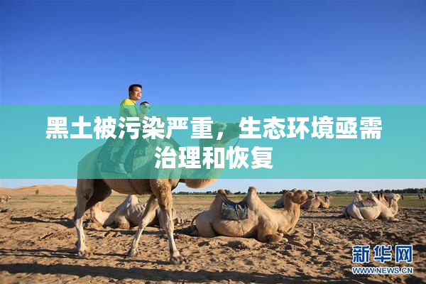 黑土被污染严重，生态环境亟需治理和恢复