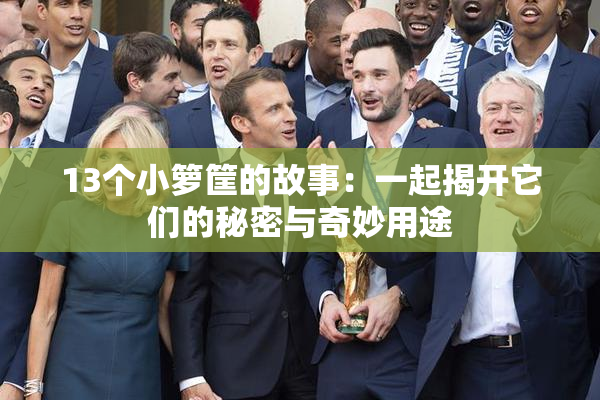 13个小箩筐的故事：一起揭开它们的秘密与奇妙用途