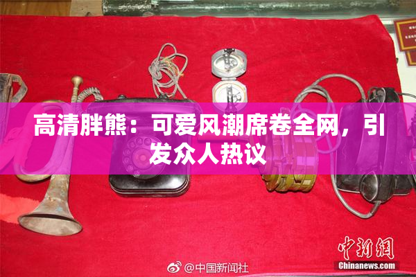 高清胖熊：可爱风潮席卷全网，引发众人热议