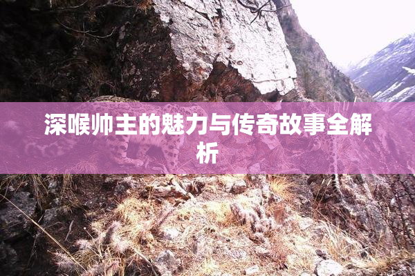 深喉帅主的魅力与传奇故事全解析