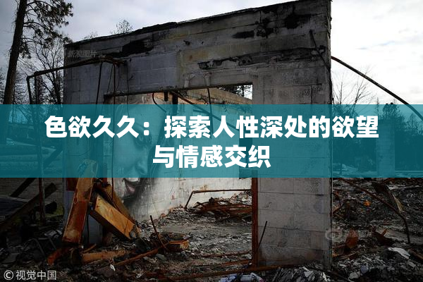 色欲久久：探索人性深处的欲望与情感交织