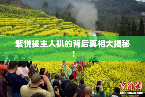 紫悦被主人扒的背后真相大揭秘！